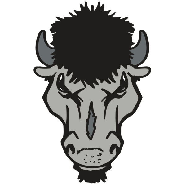 AR BUFFALO 15 RC Thumbnail